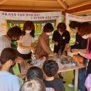 불로초등학교 이미지