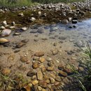 도리돌 캠핑장 이미지