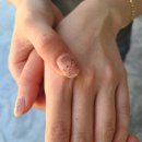 멍멍친구 애견샵 이미지