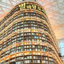 제주별마당