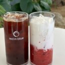 인앤양양 이미지