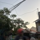실로암약국 | 발리 D+16(실로암병원, 샷건소셜, 열감기)
