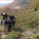 청운리경로당 이미지