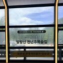 여름 관광지 추천 용평리조트 발왕산 관광케이블카 비용 할인 타고온 후기 폭염에도 시원하고 경치 좋아요