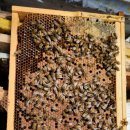 박종수농장 이미지