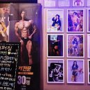 하이퍼짐 이미지