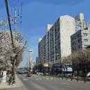 모세미공원 네이버블로그