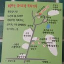 안양 / 안양운동장 산속＜산마을 보리밥＞ 이미지