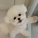 멈머링(mummuring) 이미지