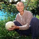 입석농장 세계일보