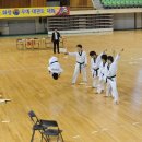 화랑체육관(태권도) 이미지