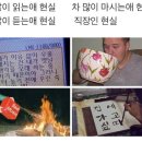 삼덕도서관 이미지