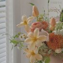 성북3 | 꽃배달 파쳄플라워 서울 성북구 동선동3가 가격 후기