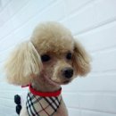 미라클 동물병원 이미지