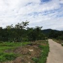 황혼농장 이미지