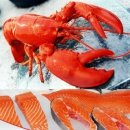 최고의 산화방지제, 아스타잔틴(Astaxanthin) 이미지