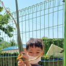 영락어린이집 이미지