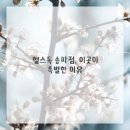 애견이야기 이미지