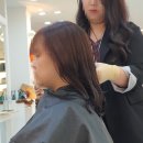 라니헤어(RANI)