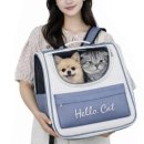 반려켄넬 쇼핑하우