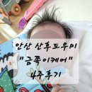 안산 산후도우미 금쪽이케어 후기(추가2주 총6주 이용)
