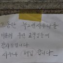 그린사우나 이미지