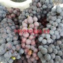 둔덕농장2 이미지