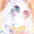 이스타코리아 이미지