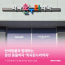 강원온누리약국 네이버블로그