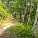 치악산자연휴양림 이미지