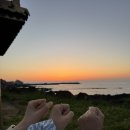 위드목장 이미지