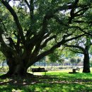 나무그늘식당 이미지