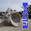 버스정류소_중문관광단지입구 이미지