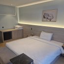 브라운도트 이미지