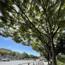 르노코리아 서비스코너 둔산점 | 대전 르노삼성자동차 서비스센터 둔산점 방문 sm6 시동이 안걸림