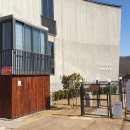 몽글 브라운