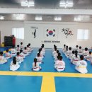 한국체대화랑태권도 이미지