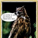 마리의봄날