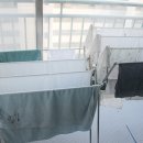 써니하우스 이미지