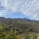 세창농장 | <백 년의 고독> 독서모임 후기(1), 가브리엘 가르시아 마르케스