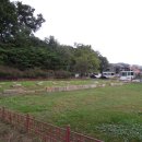 신원동 덕명교비 이미지