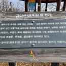 만수약수터 Daum카페