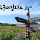 제주 올레길 2코스 Daum카페