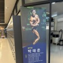 국제인스포 이미지