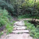 원주굽이길 17코스 동화마을진달래길 이미지