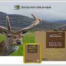 정직한친구들