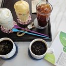 포항운하송림시장 이미지