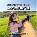 부평농장 공중화장실 | 봄여행지 폭싹속았수다 촬영지 고창 청보리밭 축제 학원농장 유채꽃 인생샷