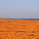 신천목장 이미지