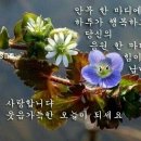 부광부동산중개사무소 이미지